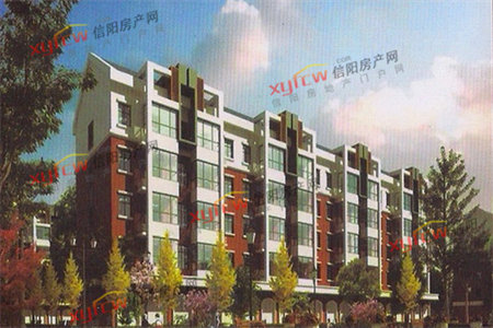 九中三小学区房出售，浉河区和美旁，怡和名门广场